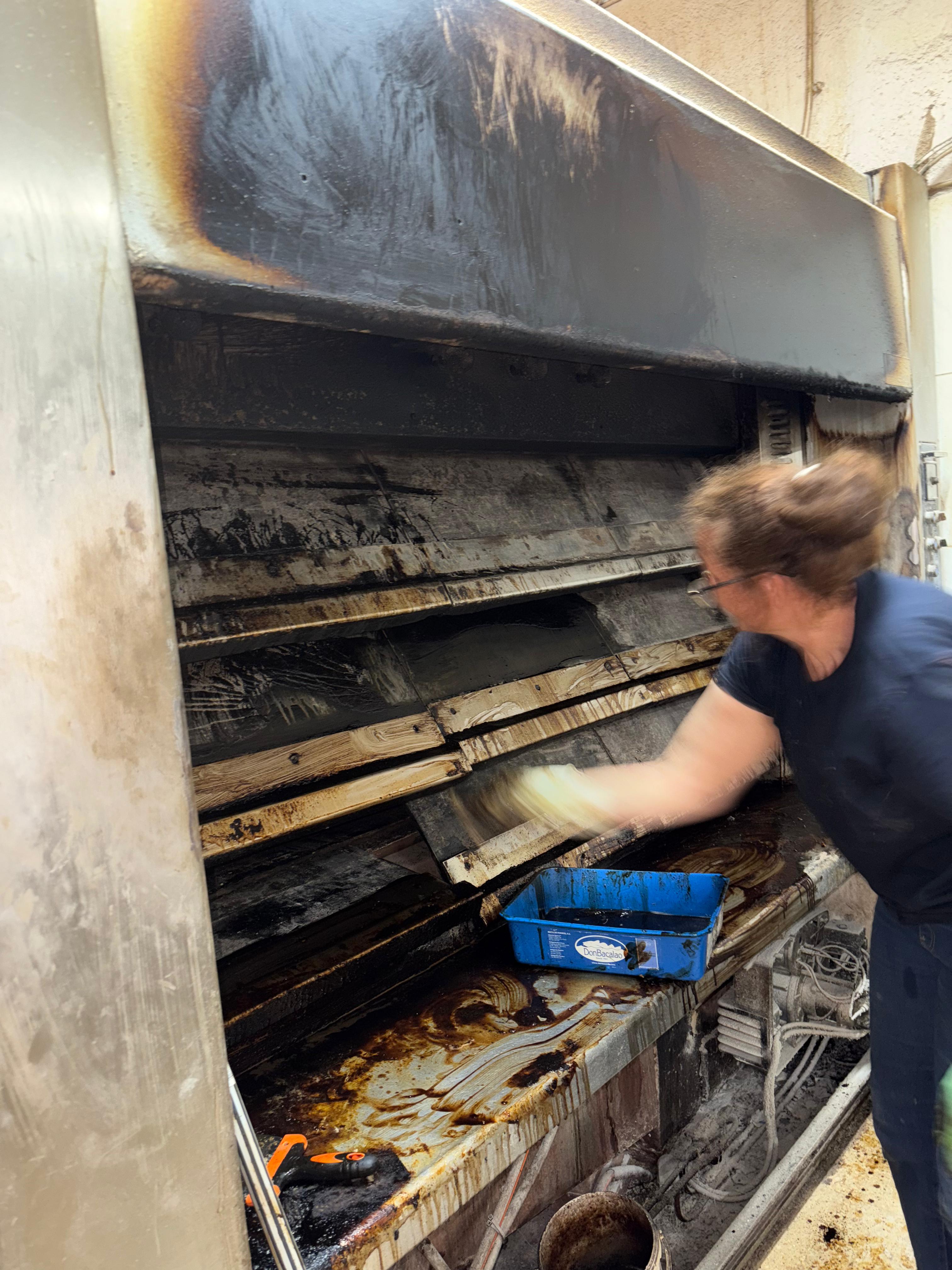 Limpieza profesional